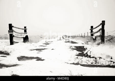 Deux poteaux marquant l'entrée d'un sentier dans la neige patché désert de l'Utah en noir et blanc. Banque D'Images