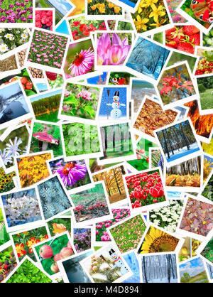 Un grand nombre de belles photos de la nature Banque D'Images