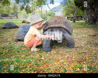 Tortue géante d'Aldabra et de l'enfant Banque D'Images