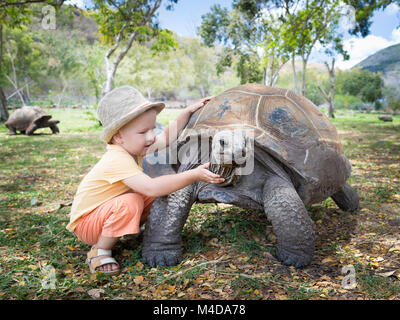 Tortue géante d'Aldabra et de l'enfant Banque D'Images