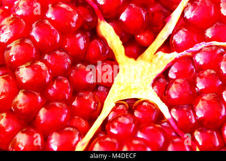 Fruits de grenade macro close up Banque D'Images