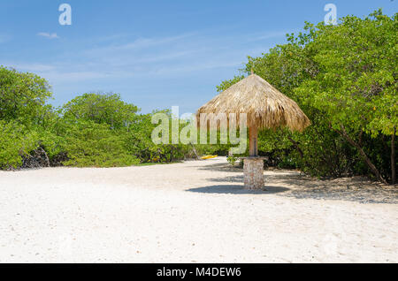 Regardant à travers les palétuviers à Aruba Beach Banque D'Images