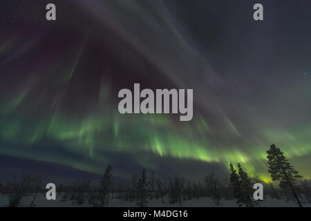 Northern Lights (aurores boréales), Laponie, Suède Banque D'Images