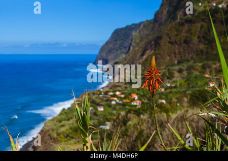 Des fleurs sur l'autre en Boaventura - Portugal Madère Banque D'Images