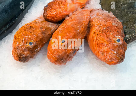 Poisson rouge sur la glace à la marché de la Boqueria à Barcelone Banque D'Images