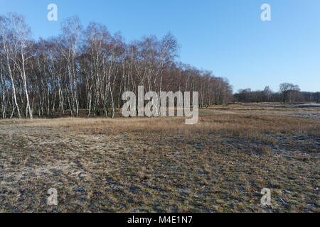 Hambourg, Boberg dunes en hiver Banque D'Images