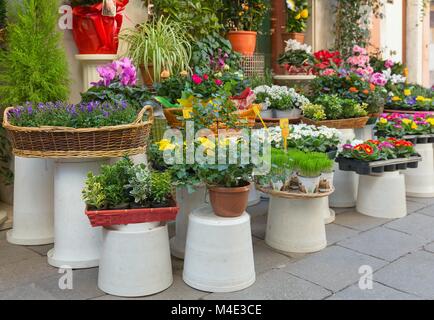 Fleurs à l'extérieur du magasin de fleur Banque D'Images
