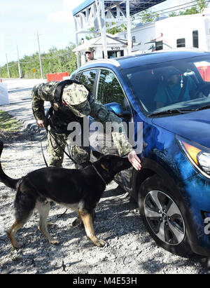 WEST, Floride (fév. 7, 2018) maître d'armes Seaman Vincent Mizzoni et chien de travail militaire Benga inspecter un véhicule au Naval Air Station Key West's in Sigsbee Park gate 7 février. L'inspection du véhicule mesure antiterroriste aléatoire a été réalisée dans le cadre de l'exercice Citadel Shield-Solid Rideau. Rideau est un Shield-Solid citadelle Marine annuel de lutte contre le terrorisme à l'échelle de l'exercice de la protection de la force visant à former et évalue les forces de sécurité de la Marine en réponse à des menaces sur des installations et des unités. NAS - Key West est un établissement de pointe pour les combats air-air des avions de tous les services militaires et prov Banque D'Images