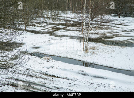 Printemps prairie avec les flaques d'eau et de la fonte des neiges Banque D'Images