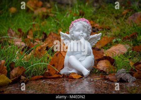Q8ceh08mysbaam
