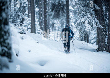 L'homme à travers la forêt d'hiver,raquettes,Salzburg, Autriche Zauchensee Banque D'Images