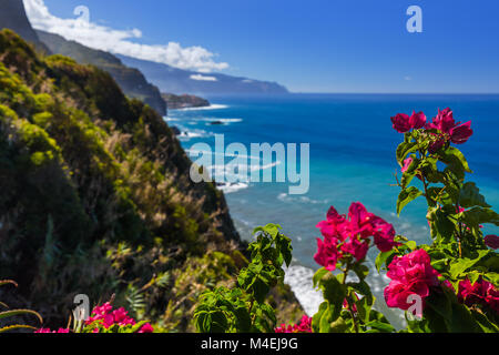 Des fleurs sur l'autre en Boaventura - Portugal Madère Banque D'Images