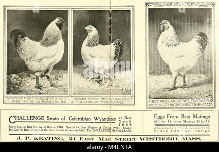 Catalogue annuel de la Columbian Wyandotte Club (1909) (18397421596) Banque D'Images