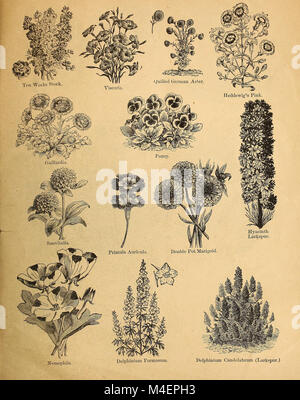 La circulaire annuelle et de détail catalogue de graines de fleurs et légumes garantis (1880) (18424666955) Banque D'Images