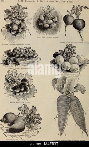 Catalogue descriptif annuel de semences - la plus grande collection au monde (1898) (20572170455) Banque D'Images