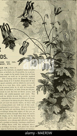 Catalogue descriptif annuel de semences - la plus grande collection au monde (1898) (20572286945) Banque D'Images