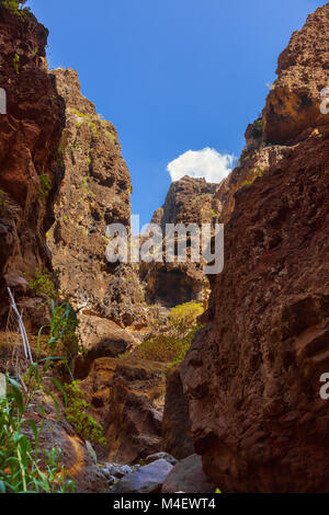 Célèbre canyon Masca à Tenerife - Canary Banque D'Images