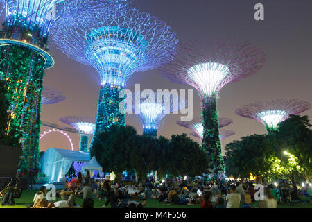 Supertree grove dans les jardins de la baie de Singapour. Banque D'Images
