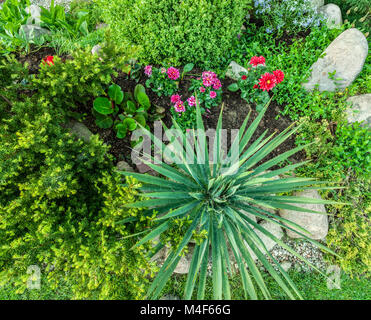 Jardin d'été aménagé avec des plantes vertes, des roches, des fleurs Banque D'Images