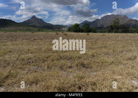 Le 10 février 2018. Champs frappés par la sécheresse dans la région viticole de Stellenbosch à l'extérieur de Cape Town, Afrique du Sud. La région du Cap occidental est Banque D'Images