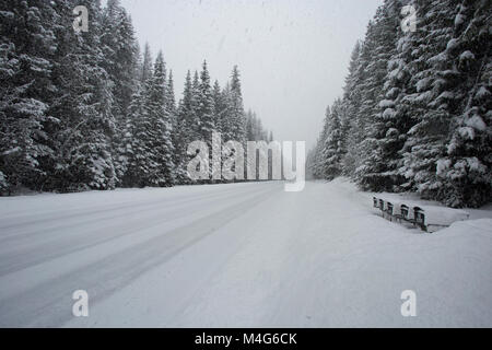 Sanders Comté, Montana, USA. 16 Février, 2018. 02/16/2018 La neige. Tempête de neige. Les boîtes mail enterrés le long de la route couverte de neige 56, Bull Lake Road, Sanders Comté dans le Montana. La route est situé dans une section à distance de l'armoire des montagnes, à environ 20 milles au nord de Noxon, Montana. La région est frappée par de fortes chutes de neige, qui nous arrivent de l'ouest. La tempête devrait durer plusieurs jours. Crédit : Martin Battilana Photographie - Alamy/Alamy Live News Banque D'Images