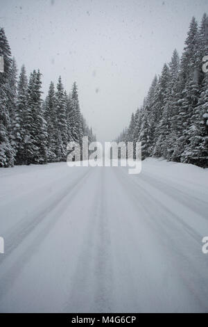 Sanders Comté, Montana, USA. 16 Février, 2018. 02/16/2018 La neige. Tempête de neige. L'Autoroute 56 BSnow couverts, Bull Lake Road, au cours d'une tempête de neige en février, Sanders Comté du Montana. La route est situé dans une section à distance de l'armoire des montagnes, à environ 20 milles au nord de Noxon, Montana. La région est frappée par de fortes chutes de neige, qui nous arrivent de l'ouest. La tempête devrait durer plusieurs jours. Crédit : Martin Battilana Photographie - Alamy/Alamy Live News Banque D'Images