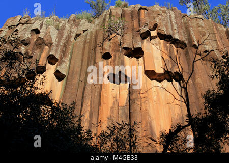 La formation de roche volcanique antique a créé l'organe-Effet de la tuyauterie à roches sciés, Narrabri, New South Wales, Australie. Banque D'Images