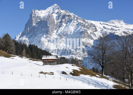 Grange en bois en face du Wetterhorn en hiver, Grindelwald, Suisse Banque D'Images