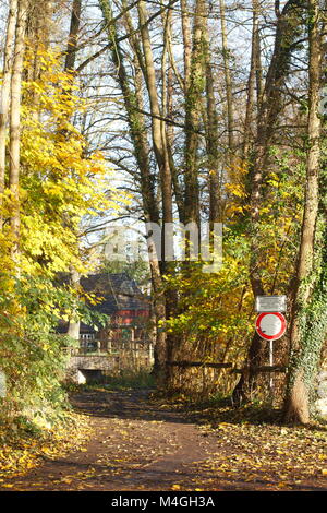 Diedrich-Speckmann-Weg im Herbst am Fluss Wümme, Fischerhude, Niedersachsen, Deutschland I Automne à Fischerhude, Basse-Saxe, Allemagne, Europe Banque D'Images