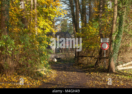 Diedrich-Speckmann-Weg im Herbst am Fluss Wümme, Fischerhude, Niedersachsen, Deutschland I Automne à Fischerhude, Basse-Saxe, Allemagne, Europe Banque D'Images