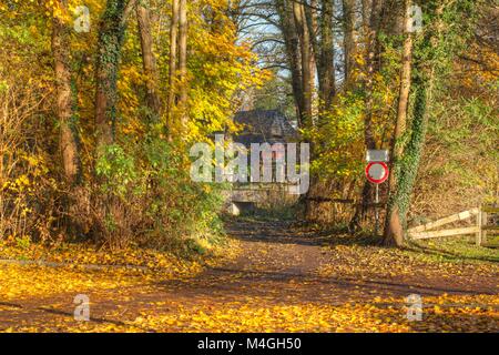 Diedrich-Speckmann-Weg im Herbst am Fluss Wümme, Fischerhude, Niedersachsen, Deutschland I Automne à Fischerhude, Basse-Saxe, Allemagne, Europe Banque D'Images