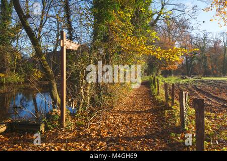 Diedrich-Speckmann-Weg im Herbst am Fluss Wümme, Fischerhude, Niedersachsen, Deutschland I Automne à Fischerhude, Basse-Saxe, Allemagne, Europe Banque D'Images