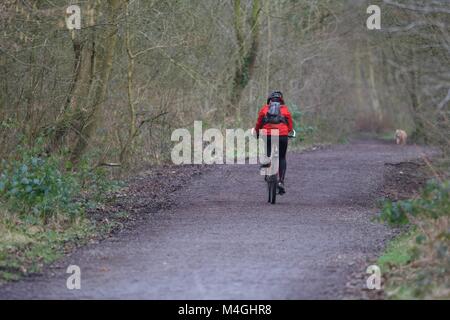 Un cycliste sur le sentier de la vallée de terriers, qui s'étend de nouvelles usines à Hayfield dans le Derbyshire. Banque D'Images