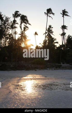 Resort et de palmiers au coucher du soleil, plage de Nungwi, Zanzibar, Tanzanie Banque D'Images