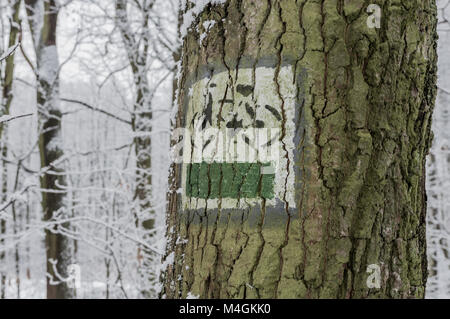 Le marquage de la route touristique. Route touristique d'un signe sur l'écorce d'un arbre. Forêt en hiver. Banque D'Images