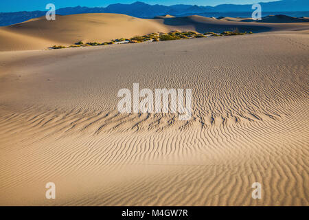 Petites rides sur les dunes de sable Banque D'Images