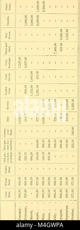 Rapport annuel de la Commission de contrôle de l'état de l'Expérience Agricole à Amherst, de masse (1888) (17811851484) Banque D'Images
