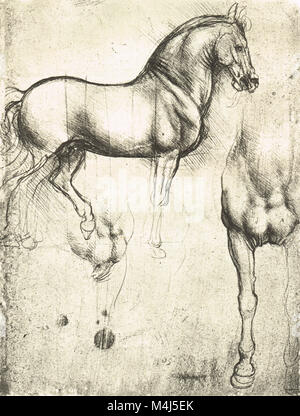 Cheval en profil, à droite et ses jambes de l'avant, le dessin anatomique d'équidés, dessiné par Léonard de Vinci, 1452-1519 Banque D'Images