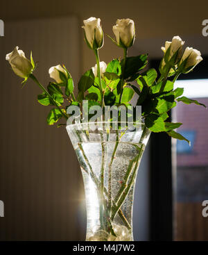 Close up portrait of white roses ensoleillées en vase en verre, avec de l'éclat de la lumière par l'eau Banque D'Images