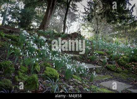 Perce-neige par étapes menant à jardin en contrebas dans les motifs de Chawton House ,Hampshire Angleterre Banque D'Images