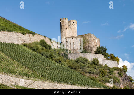 - Château d'Ehrenfels Rüdesheim Banque D'Images