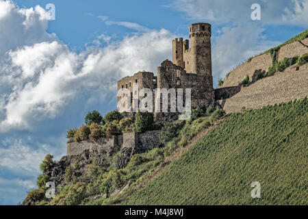 - Château d'Ehrenfels Rüdesheim Banque D'Images