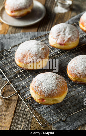 Maison Gourmet Paczki Polonais Donuts avec remplissage en gelée Banque D'Images