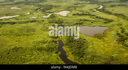 Vue aérienne de zones humides du Pantanal, Pantanal, Brésil Banque D'Images