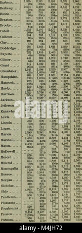 Appleton's Cyclopedia annuel et le registre d'événements importants- englobant les domaines politique, militaire, une des affaires ecclésiastiques ; des documents publics ; biographie, statistiques, du commerce, des finances, de la littérature, (14773305541) Banque D'Images