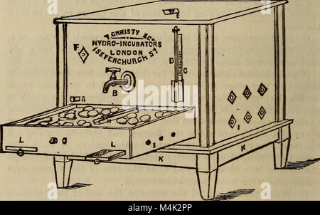 L'incubation artificielle et incubateurs (1883) (14598461250) Banque D'Images