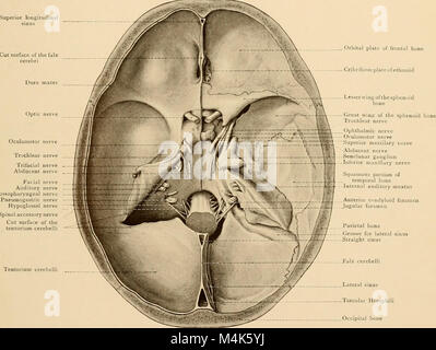 Texte et Atlas-livre de l'anatomie topographique et appliquée (1905) (14783481615) Banque D'Images