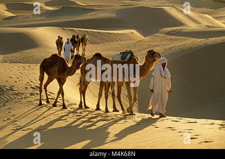 L'Algérie. Près de Timimoun. La mer de sable de l'Ouest. Grand Erg occidental. Désert du Sahara. Marcher avec les bédouins des chameaux. Train de chameaux. Les dunes de sable. Banque D'Images