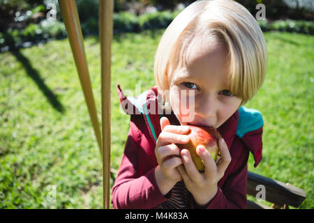 Boy relaxing in swing sur une journée ensoleillée Banque D'Images