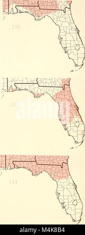 Atlas du United States arbres- volume 5. Florida (1361) (19722232064) Banque D'Images